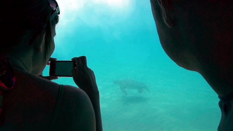 Yellow submarine zante25 768x432